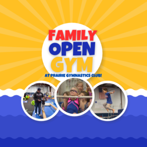 Family Open Gym (ages 1 & Up)